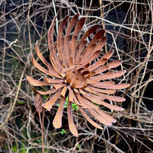 Load image into Gallery viewer, Large Rusty Metal Dahlia Garden Sculpture, Rustic Ornament (115 cm, 45 inches)
