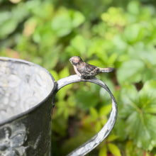 Load image into Gallery viewer, Grey Metal Medium Sized Watering Can, Embossed Floral Design