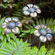 Load image into Gallery viewer, Set of 3 Metal Daisies (51 cm)
