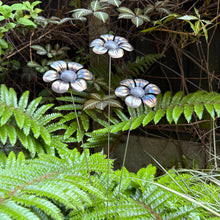 Load image into Gallery viewer, Set of 3 Metal Daisies (51 cm)