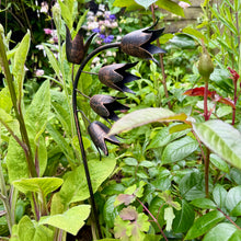 Load image into Gallery viewer, Recycled Metal Campanula Garden Ornament (52 cm)