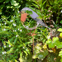 Load image into Gallery viewer, Metal Robin Garden Ornament on Stake - Rustic Garden Decoration (42 cm)