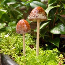 Load image into Gallery viewer, Set of 2 Small Ceramic Mushroom Garden Ornaments with Wooden Stalks (24 cm &amp; 20 cm)