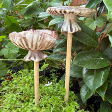 Load image into Gallery viewer, Set of 2 Medium Ceramic Mushroom Ornaments with Wooden Stalks (31.5 cm)