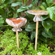 Load image into Gallery viewer, Set of 2 Medium Ceramic Mushroom Ornaments with Wooden Stalks (31.5 cm)