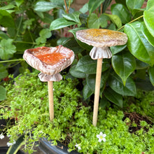 Load image into Gallery viewer, Set of 2 Medium Ceramic Mushroom Ornaments with Wooden Stalks (31.5 cm)